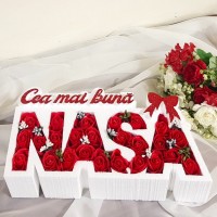 0.Cea mai buna NASA * ARANJAMENTE Trandafiri de Sapun