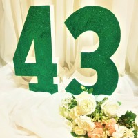 245.Cifra Polistiren sclipici Verde