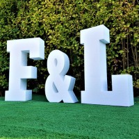 200.Initiale MIRI Gigant (Prezidiu) BLANK (NEVOPSITE)