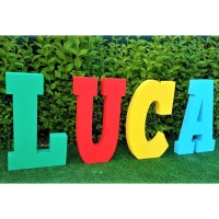 110.Litera Polistiren vopsita