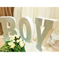 220.BOY - set (3 litere) sclipici Argintiu