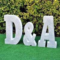 228.Initiale MIRI Gigant (Prezidiu) sclipici Argintiu