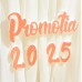 266.Set - Promotia + AN - vopsit
