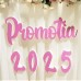 266.Set - Promotia + AN - vopsit
