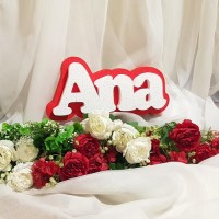 106.Nume PANOU cu Suport ROSU - litere albe