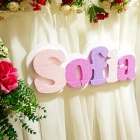 197.Nume PANOU cu Suport Alb - Litere nuante Roz